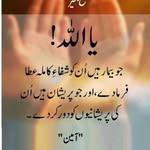 Sajida Ijaz - @sajida6557 - Instagram
