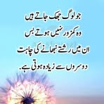 Sajida Ijaz - Facebook