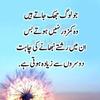 Sajida Ijaz - @sajida.ijaz8 - TikTok