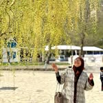 sajida abdul rasheed - @sajidawho - Instagram