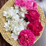 Sajida Rasheed - @sajida_raseed - Instagram