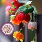 Sajida Rasheed - Facebook