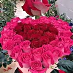 REHAN - @sajida_shafi - Instagram