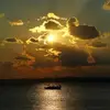 Sajida Shafi - @sajida.shafi3 - TikTok