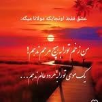 Sajida Shafiqi - @sajida.shafiqi - Instagram