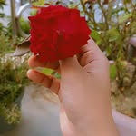 SAJIDA SHAH - @sajidarohi_ - Instagram