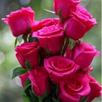 Sajida Shah - Facebook