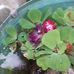 Sajith Balan - Facebook