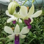 Sajitha_Balan - @sajitha__balan - Instagram