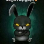 Sajith Narayanan - @sajithnatayanan.s - Instagram