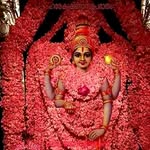 Sajith Sahadevan - @sanith.sahadevan.5 - Instagram