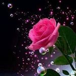 Sajitha Samuel - @sajithasamuel - Instagram