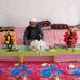 Sajjad anwer - Facebook