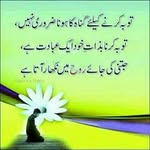 Sajjad Anwer - @anwer6440 - Instagram