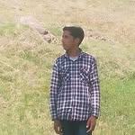 Sajjad lone - @sajjadlone95 - Instagram