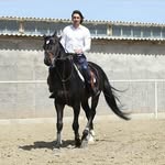 sajjad lone - @sajjad_lone - Instagram