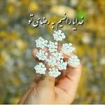 sajjad razavi - @6073.razavi - Instagram
