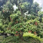 Sajjad Razvi - @razvisajjad - Instagram