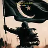 Sajjad Rizvi - @sajjad.rizvi2 - TikTok