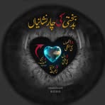 Sajjad Rizvi - Facebook