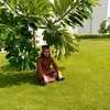 Sajjad Rizvi - @sajjad.rizvi55 - TikTok