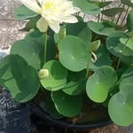 Saju Krishnan - @sajukrishnan57 - Instagram