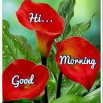 Saju Krishnan - @saju.krishnan.522 - Instagram