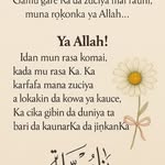 sakeena Muhammad Abdullahi - @abdullahisakeenamuhammad - Instagram
