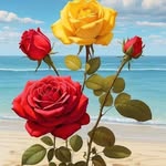 Sakib Hoque - @sakibhoque40 - Instagram