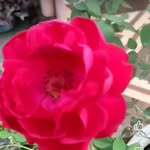 sakina raza qadri - @sakinarazaqadri - Instagram