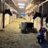 Carreras.al 100 - @carreras.al.cien - TikTok