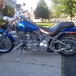 Sal Geraci - @sal.geraci - Instagram