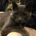 Sal Grasso - Facebook
