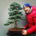 Saffa Mancuso Salvatore - @saffamancusosalvatore - Instagram