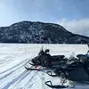 salmancuso630 - @salmancuso630 - TikTok