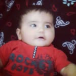 ماهی فروشی زبیدی +989372117251 - @salmanzobede2020 - Instagram