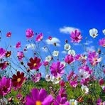 Martin Sal - Facebook