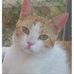 Sal Matera - Facebook