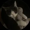 سلمى🐉 - @salmayay - TikTok