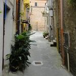 Sal Miceli - @salmiceli50 - Instagram