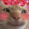 Sal Michael - @sal.michael - TikTok