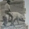Sal Mineo890 - @user7220043763350 - TikTok
