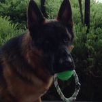 Sal Moore - @gibbs1268 - Instagram