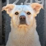 Sal pal - @go_birdz - Instagram