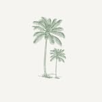 Hotel Palmas de Salento 🌴 - @hotelboutique_palmasdesalento - Instagram