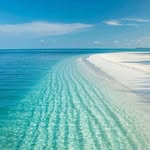 PUERTO RICO SOUTH FISHING EXPERIENCE - @salpalmar - Instagram