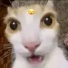 Saúl Palma - @sal.palma13 - TikTok