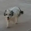 user1697439100637 - @salpalma - TikTok
