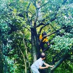 SALPA del Bosco | Asilo del Bosco - @salpa_nel_bosco - Instagram