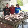 Sal Pellegrino - @salpellegrino - TikTok